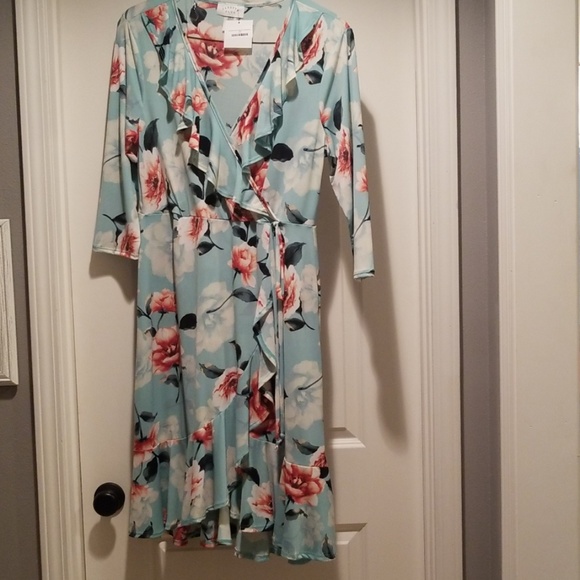 Janette Plus Dresses & Skirts - Plus size dress